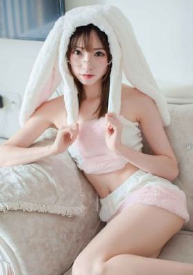 龙年档案电视剧