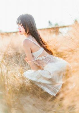 潇洒佳人淡淡妆电视剧
