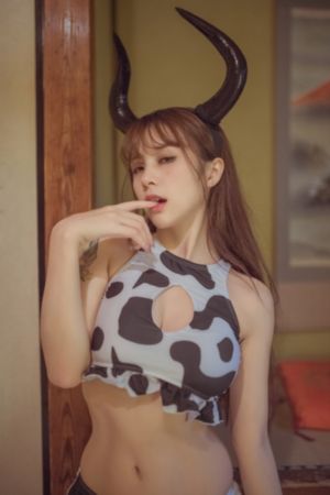 新红楼梦