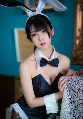 电视剧巜与凤行免费观看